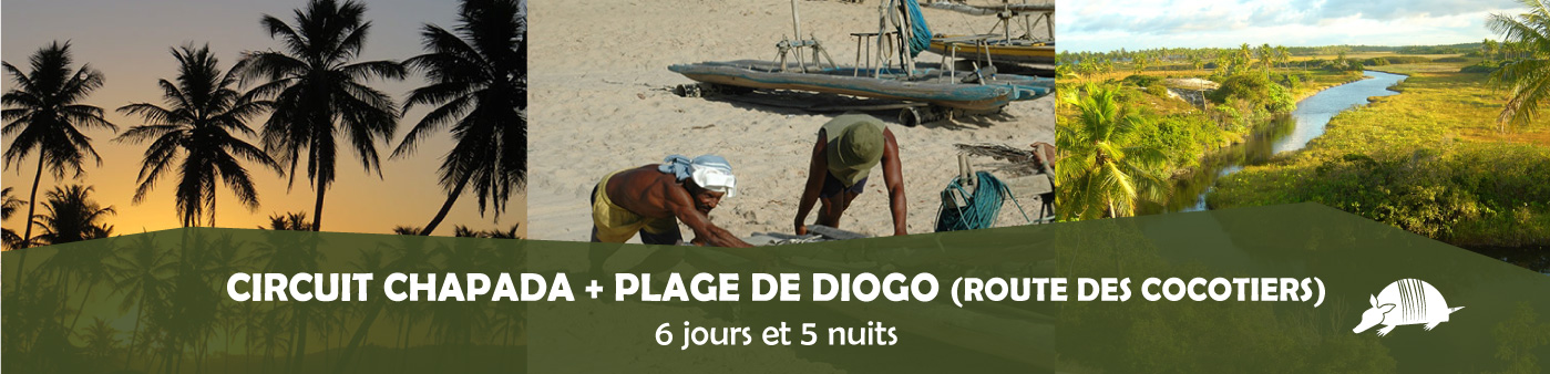 TATU roteiros FR DIOGO banner - Circuit Chapada Diamantina + plage de Diogo (route des cocotiers)