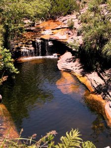 Águas Claras - Chapada Diamantina