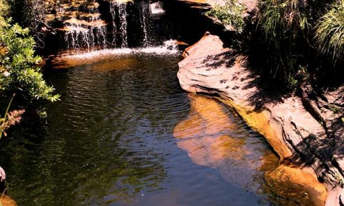 Águas Claras - Chapada Diamantina