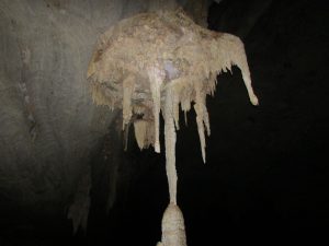 IMG 3326 1 300x225 - IMG_3326