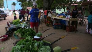 Feira do Vale do Capão