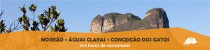 TATU roteiros morrao banner 300x72 - TATU_roteiros-morrao-banner