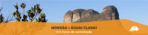 TATU roteiros morrao banner 27ago18 300x72 - TATU_roteiros-morrao-banner_27ago18