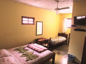 Apartamento - Pousada Tatu Feliz