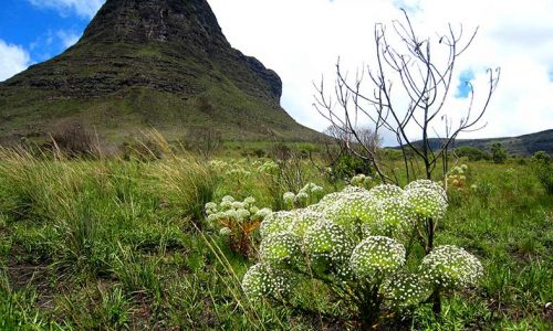 Chapada Diamantina