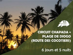TATU roteiros FR DIOGO 300x225 - Circuit Chapada Diamantina + plage de Diogo (route des cocotiers)