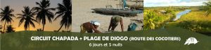 TATU roteiros FR DIOGO banner 300x72 - TATU_roteiros_FR-DIOGO_banner