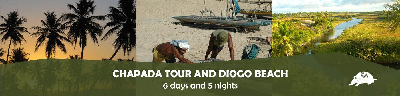 TATU roteiros ENG diogo banner - Chapada tour and Diogo beach - 6 days / 5 nights