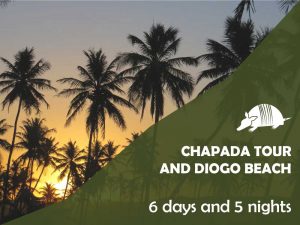TATU roteiros ENG diogo2 1 300x225 - Chapada tour and Diogo beach - 6 days / 5 nights