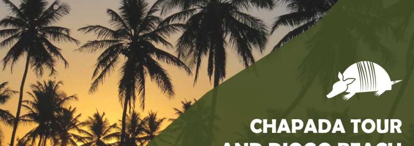TATU roteiros ENG diogo2 1 848x300 - Chapada tour and Diogo beach - 6 days / 5 nights