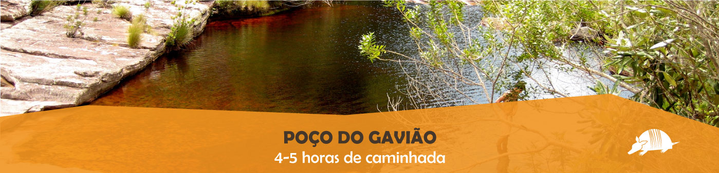 TATU roteiros gaviao banner 01out18 - Poço do Gavião